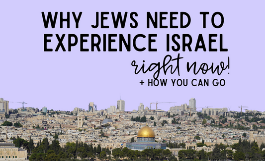 why Jews need to experience Israel right now