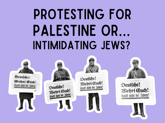 are you actually protesting for Palestine? Or...are you just intimidating Jews?
